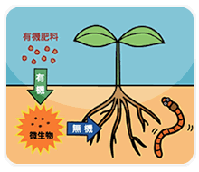 自然思考　堆肥　有機肥料の循環