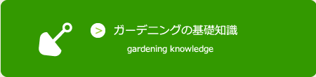 園芸・ガーデニングの基礎知識