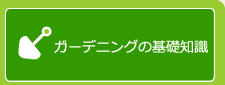 ガーデニングの基礎知識