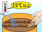 園芸,農業　種まきは１５度以上で行う