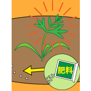 園芸用農業用培養土　２０日おきに追肥