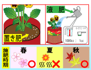 園芸　置き肥　液肥　施肥時期