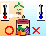 園芸　農業　ピーマンは暖かくなってから植える