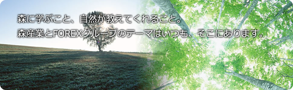 森に学ぶこと、自然が教えてくれること。森産業とFOREXグループのテーマはいつも、そこにあります。