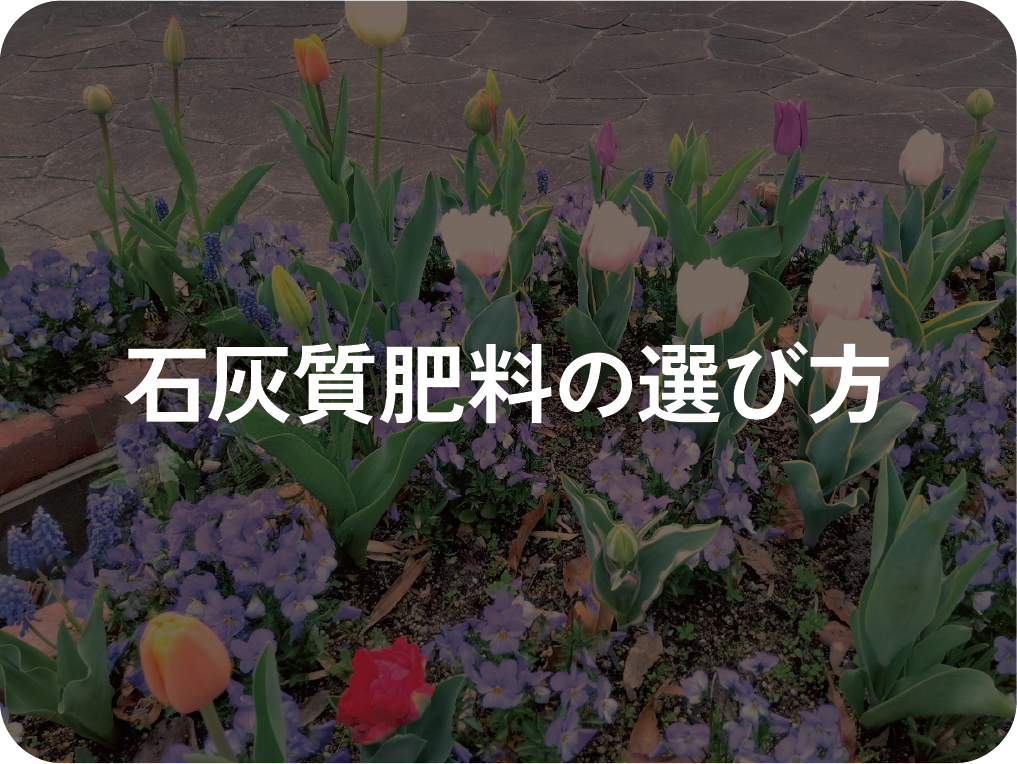 石灰質肥料の選び方
