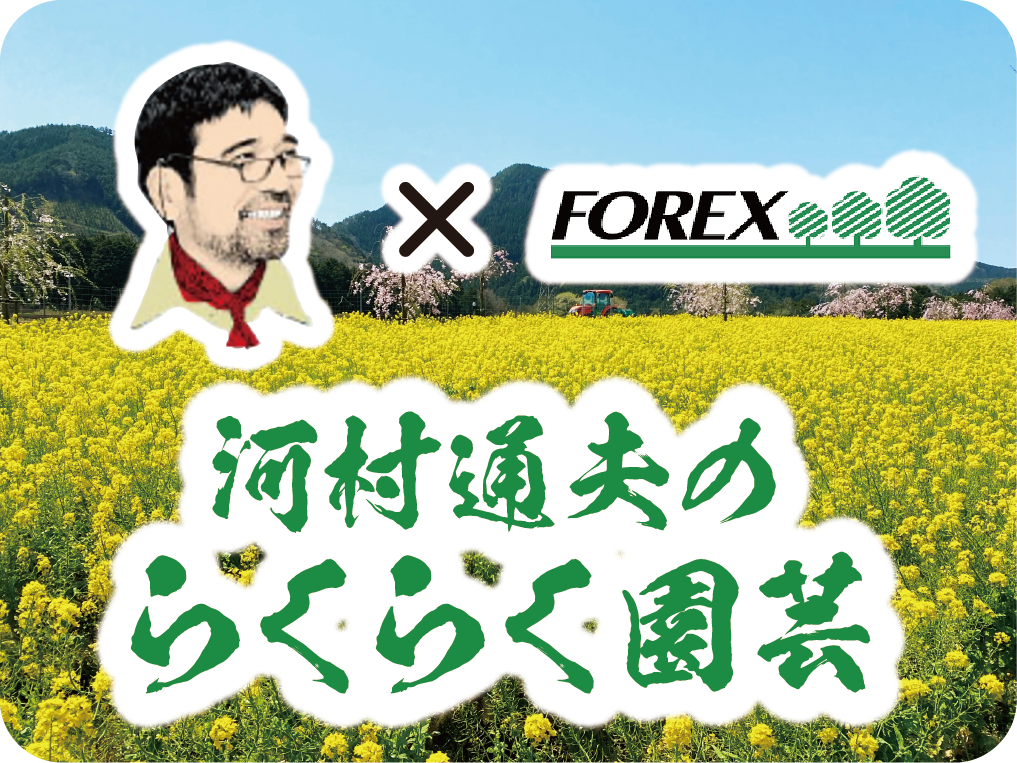 河村通夫のらくらく園芸シリーズ