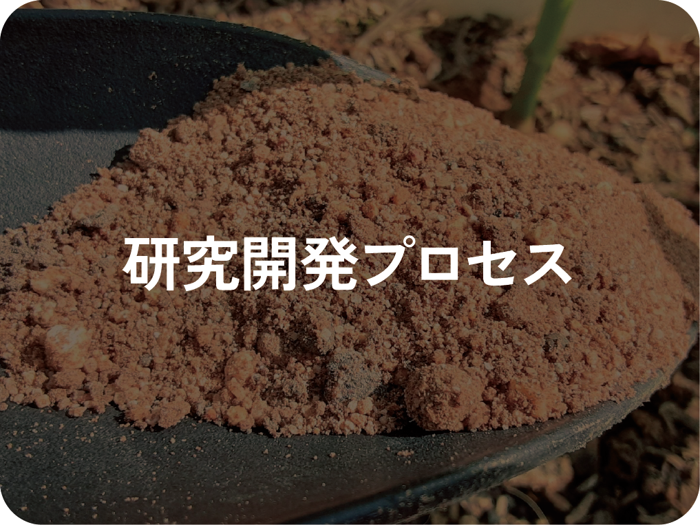 研究開発プロセス